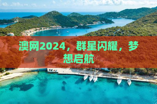 澳网2024，群星闪耀，梦想启航