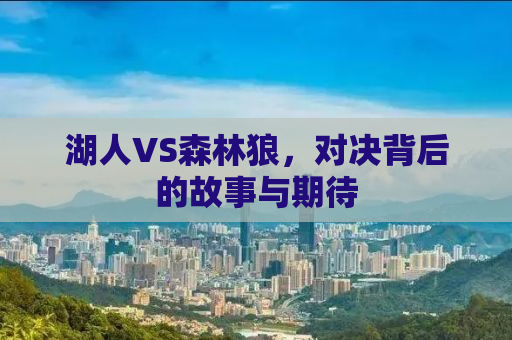 湖人VS森林狼，对决背后的故事与期待