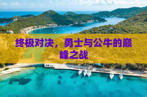 终极对决，勇士与公牛的巅峰之战