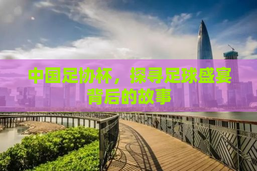中国足协杯，探寻足球盛宴背后的故事