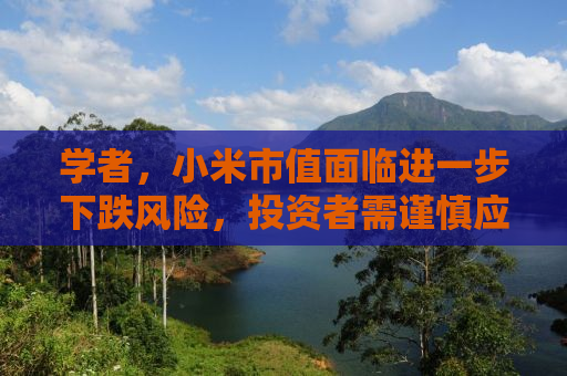学者，小米市值面临进一步下跌风险，投资者需谨慎应对