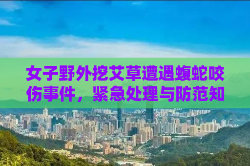 女子野外挖艾草遭遇蝮蛇咬伤事件，紧急处理与防范知识普及