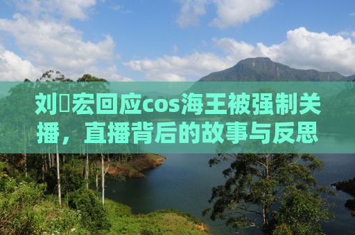 刘畊宏回应cos海王被强制关播，直播背后的故事与反思