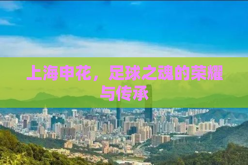 上海申花，足球之魂的荣耀与传承