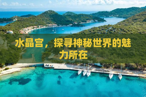 水晶宫，探寻神秘世界的魅力所在