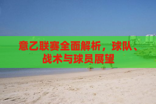意乙联赛全面解析，球队、战术与球员展望