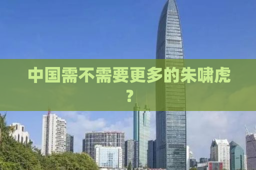 中国需不需要更多的朱啸虎？
