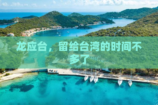 龙应台，留给台湾的时间不多了