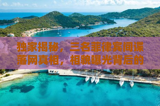 独家揭秘，三名菲律宾间谍落网真相，相貌曝光背后的故事
