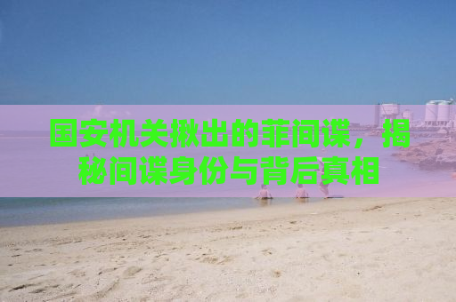 国安机关揪出的菲间谍，揭秘间谍身份与背后真相