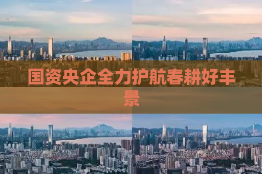 国资央企全力护航春耕好丰景
