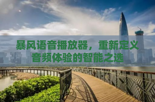 暴风语音播放器，重新定义音频体验的智能之选
