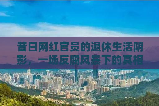 昔日网红官员的退休生活阴影，一场反腐风暴下的真相揭秘