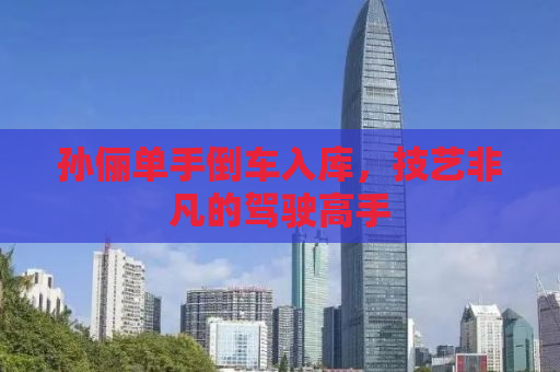 孙俪单手倒车入库，技艺非凡的驾驶高手