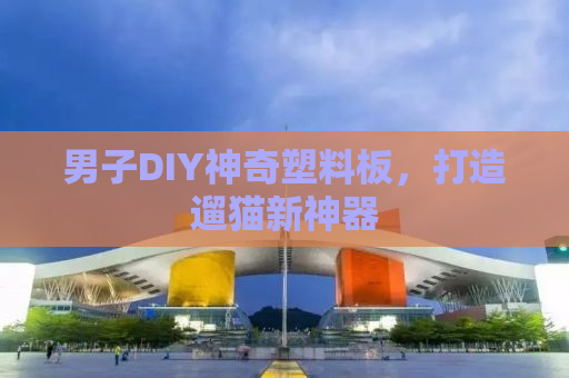 男子DIY神奇塑料板，打造遛猫新神器
