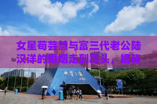 女星苟芸慧与富三代老公陆汉洋的婚姻走到尽头，揭秘背后的原因与未来展望