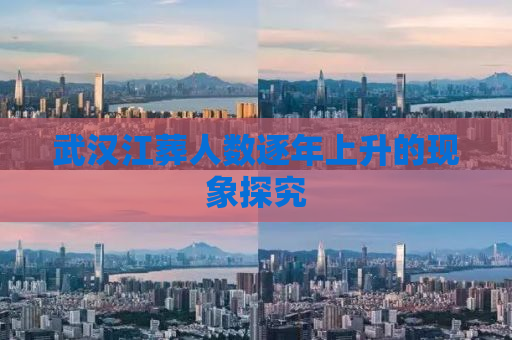 武汉江葬人数逐年上升的现象探究
