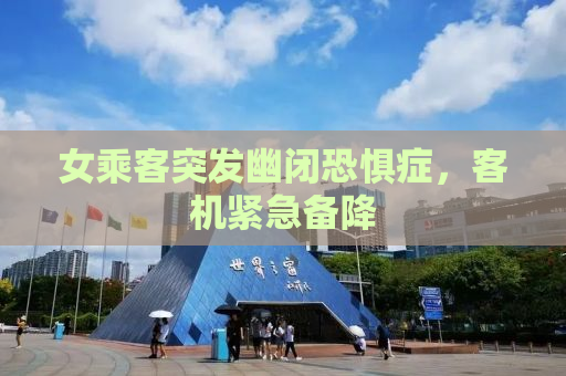 女乘客突发幽闭恐惧症，客机紧急备降