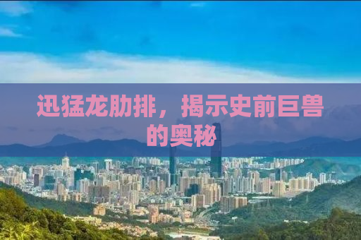 迅猛龙肋排，揭示史前巨兽的奥秘