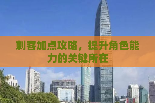 刺客加点攻略，提升角色能力的关键所在