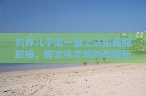 刘烨儿子诺一登上法国新闻联播，跨文化之旅的璀璨新星