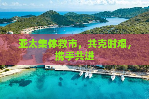 亚太集体救市，共克时艰，携手共进