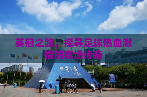 英冠之路，探寻足球热血激情的赛场传奇