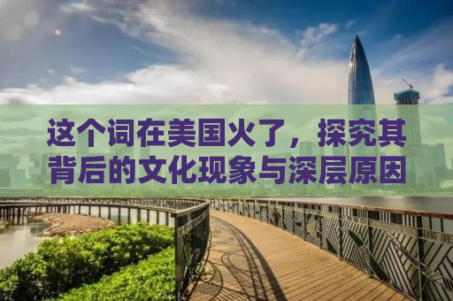 这个词在美国火了，探究其背后的文化现象与深层原因