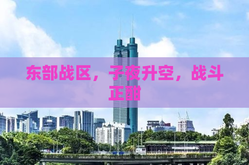 东部战区，子夜升空，战斗正酣