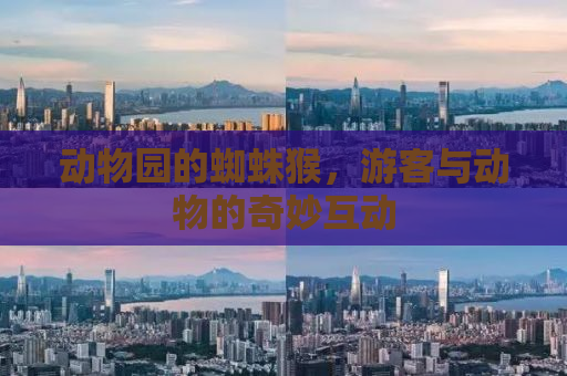 动物园的蜘蛛猴，游客与动物的奇妙互动
