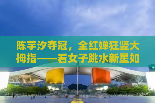 陈芋汐夺冠，全红婵狂竖大拇指——看女子跳水新星如何闪耀赛场