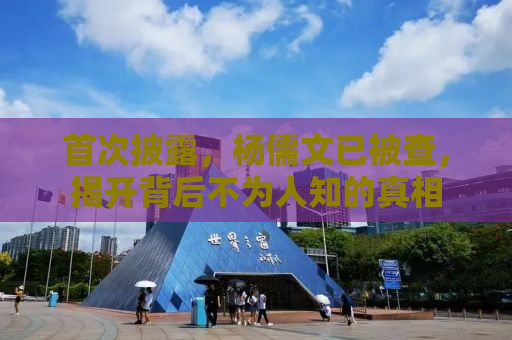 首次披露，杨儒文已被查，揭开背后不为人知的真相
