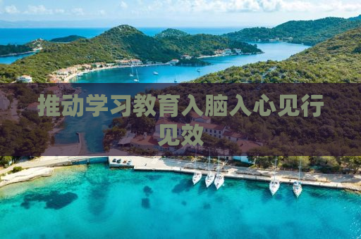 推动学习教育入脑入心见行见效