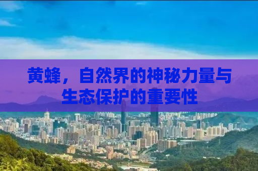 黄蜂，自然界的神秘力量与生态保护的重要性