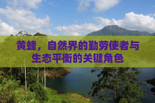 黄蜂，自然界的勤劳使者与生态平衡的关键角色