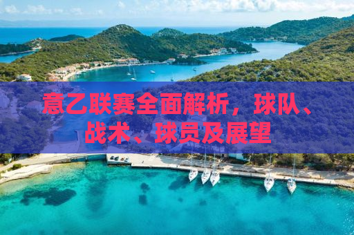 意乙联赛全面解析，球队、战术、球员及展望
