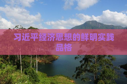 习近平经济思想的鲜明实践品格
