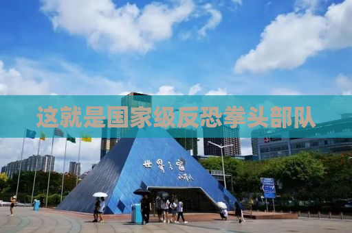 这就是国家级反恐拳头部队