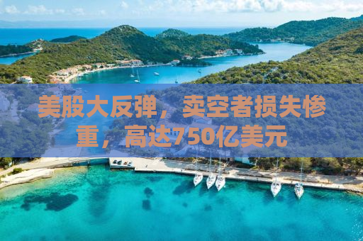 美股大反弹，卖空者损失惨重，高达750亿美元