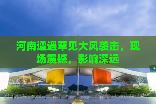 河南遭遇罕见大风袭击，现场震撼，影响深远