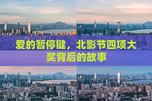爱的暂停键，北影节四项大奖背后的故事