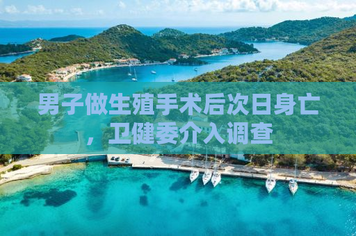 男子做生殖手术后次日身亡，卫健委介入调查