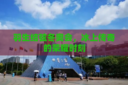 羽生结弦冬奥会，冰上传奇的荣耀时刻